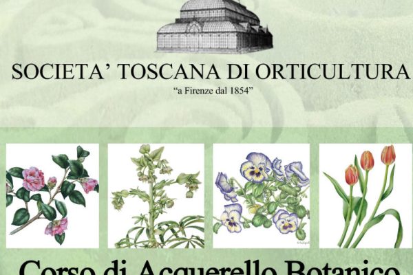 Corso di Acquerello Botanico – Agrumi – Febbraio – Marzo 2018